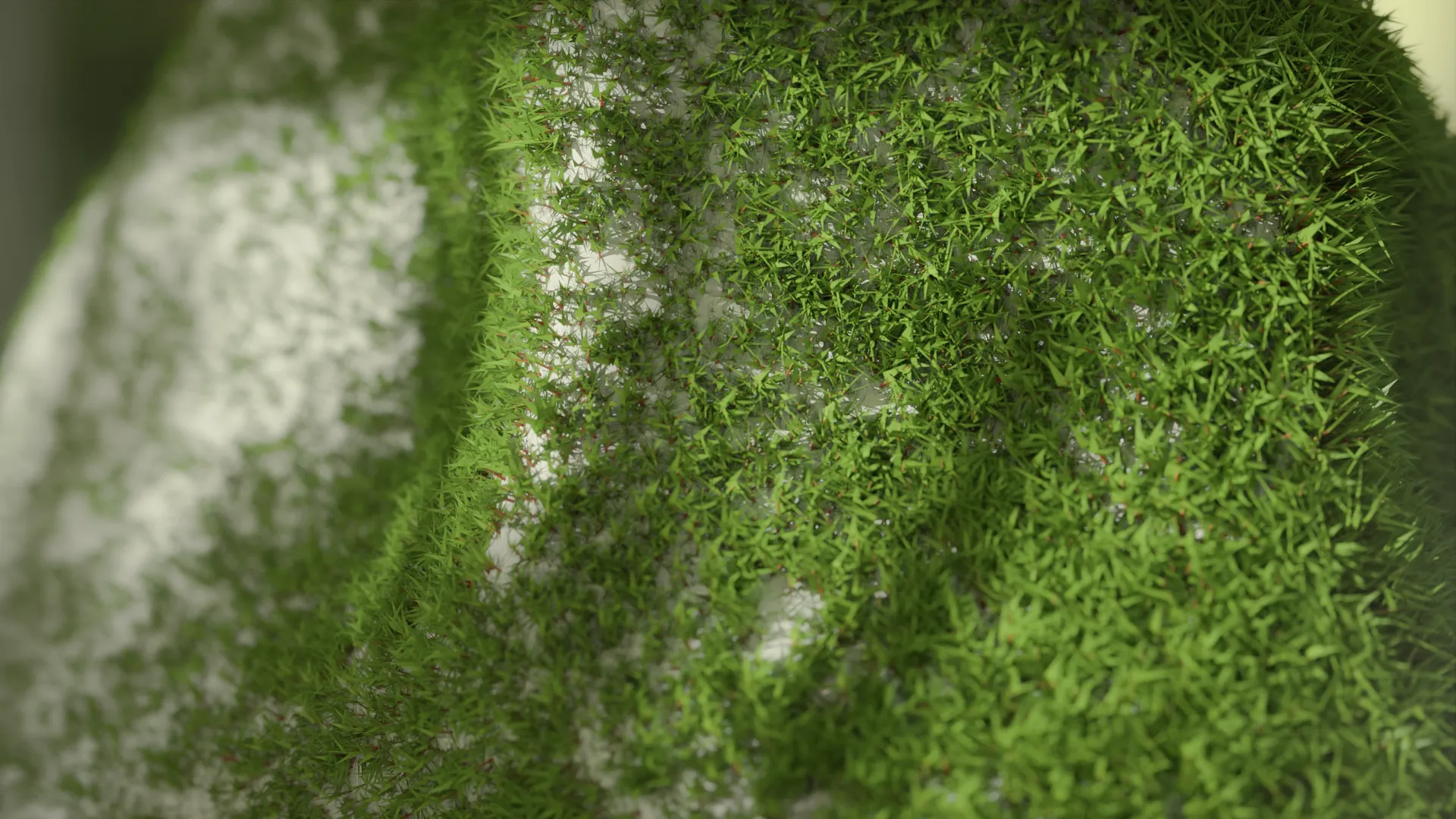 Digital Biotopia Environment 1